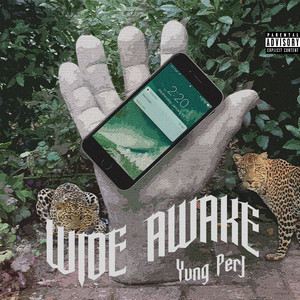 Wide Awake (Explicit)