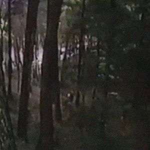 debonaire (Explicit)