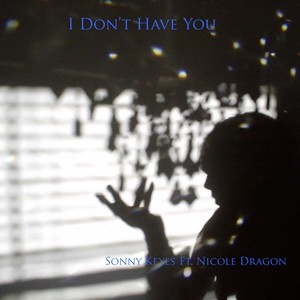 I Don't Have You (feat. Nicole Dragon)