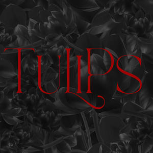 Tulips (feat. Hollywood Luck, Rhymez & KoolKM)