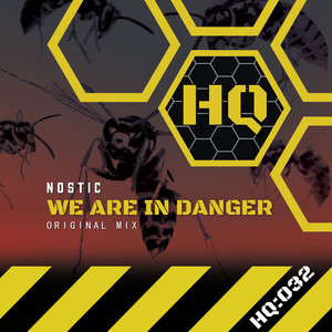 We are in Danger (Original Mix)