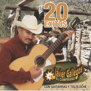 20 Exitos Con Guitarra y Tololoche