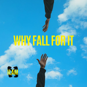 Why Fall For It (Explicit)