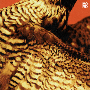 AT4 - The Sleepwalker