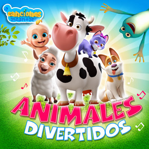 Animales divertidos