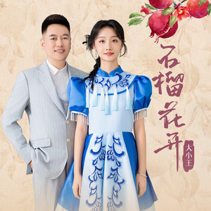 石榴花开 (伴奏)