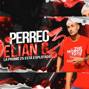 PERREO ELIAN G 3