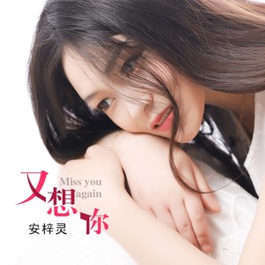 又想你