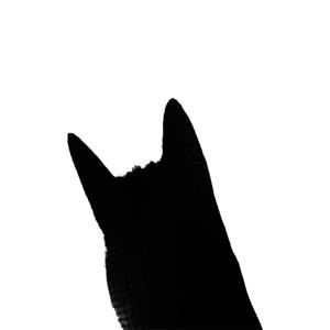 down2earth (feat. G-Dubb|Explicit)