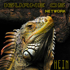 Network (Original Mix)