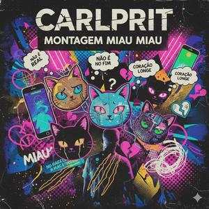 Carlprit - MONTAGEM MIAU MIAU (montagem2025)