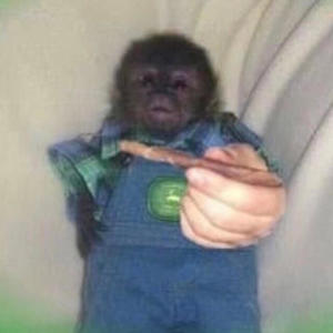 Freestyle 2 (Explicit)