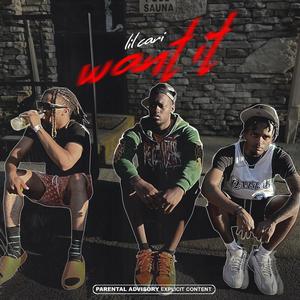 Want It (feat. Treko) (Explicit)