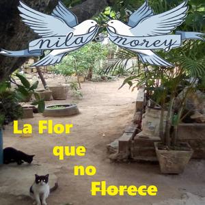 La Flor que no Florece