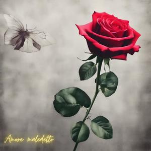 Amore maledetto
