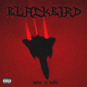 BLVCKB!RD (feat. Nightgod Kyoto) [Explicit]