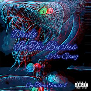 In The Bushes (feat. ASO Gang) (Explicit)