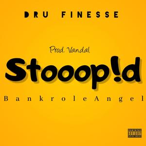 Stooopid (feat. BankRoleAngel) [Explicit]