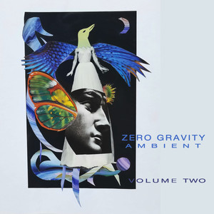 Zero Gravity Ambient: Vol. 2