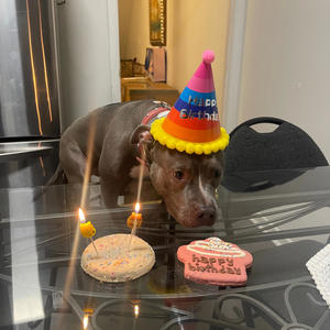 birthday (feat. Twentythree) (Explicit)