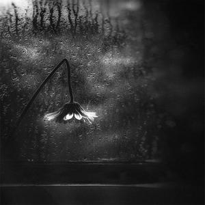 DaiZies Confes... (Explicit)