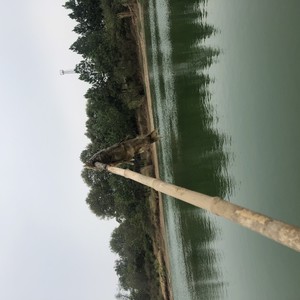 一路向北