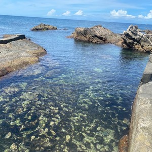 陈秀玲 - 伤心的城市