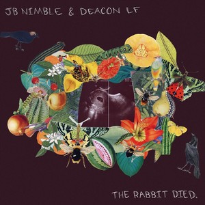 The Rabbit Died (Explicit)