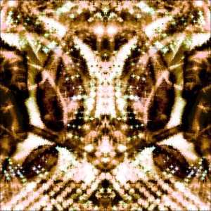 Webz n moor (Explicit)