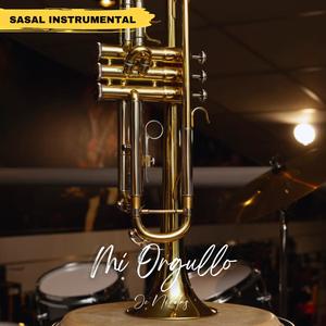 Mi Orgullo (Salsa Instrumental)