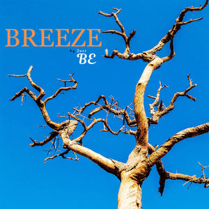 BREEZE
