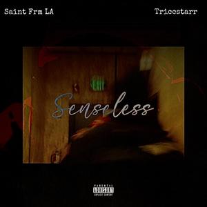 Senseless (feat. Triccstarr) (Explicit)