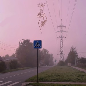 Серые просторы