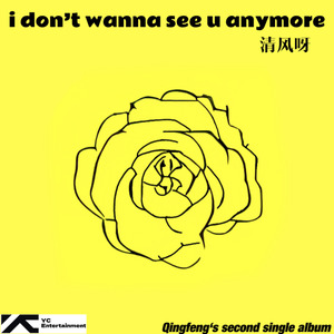 I don't wanna see u anymore