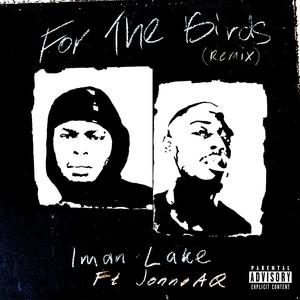 For The Birds(feat. JonnoAQ) (Remix)