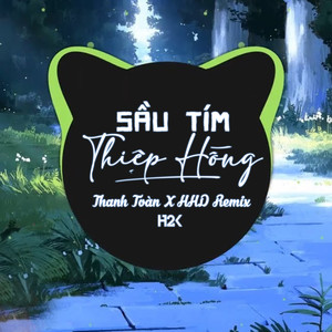 Sầu Tím Thiệp Hồng (Thanh Toàn Remix)