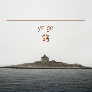 野鸽