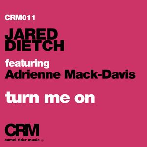 Turn Me On (feat. Adrienne Mack-Davis) (Adrien Mezsi Remix)