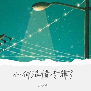 错误的恋曲封面