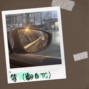 等（翻自TC）