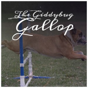 The Giddybug Gallop