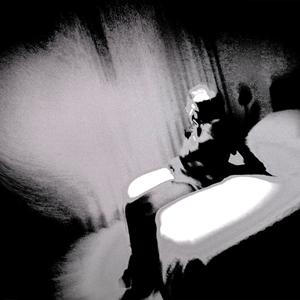 Tu interés (Explicit)