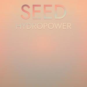 Seed Hydropower