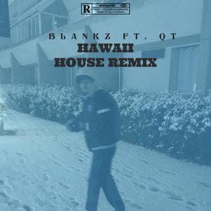 Hawaii (feat. QT) [House Remix] [Explicit]