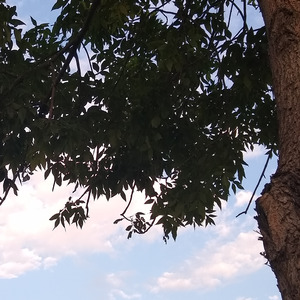 杨知远 - 长镜头