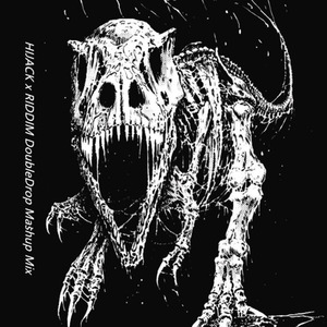 HIJACK x RIDDIM Double Drop Mashup Mix