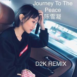 Journey To The Peace(D2K Remix)