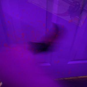 idgaf (feat. BRUHMANEGOD, CXRPSE & neevah) (Explicit)