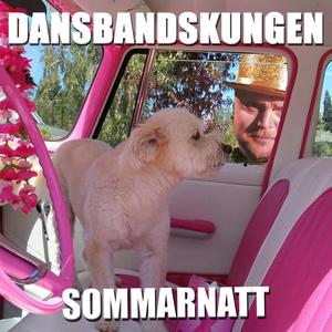 Sommarnatt