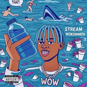 copy the cat (feat. KXNGSXL) (Explicit)